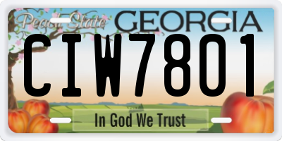 GA license plate CIW7801