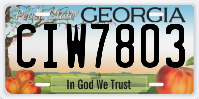 GA license plate CIW7803