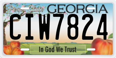 GA license plate CIW7824