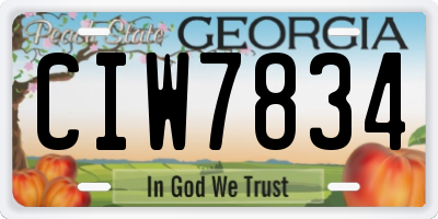 GA license plate CIW7834