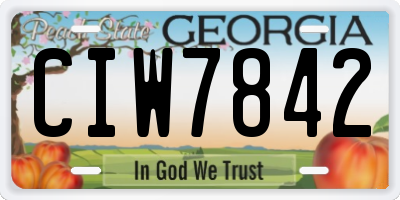 GA license plate CIW7842