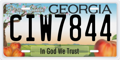 GA license plate CIW7844