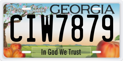 GA license plate CIW7879