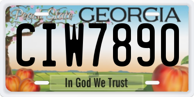 GA license plate CIW7890