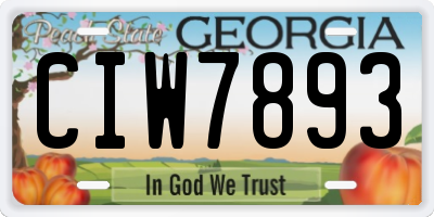 GA license plate CIW7893