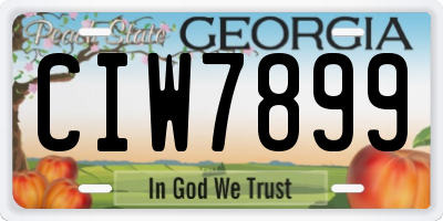 GA license plate CIW7899