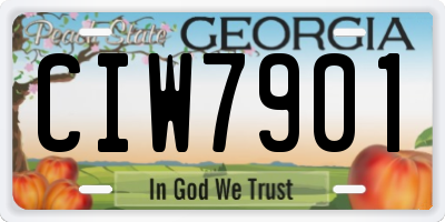 GA license plate CIW7901