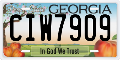GA license plate CIW7909