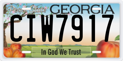 GA license plate CIW7917
