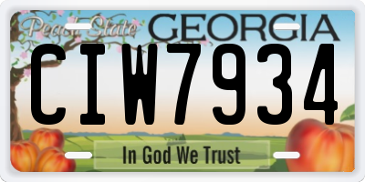 GA license plate CIW7934