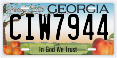 GA license plate CIW7944