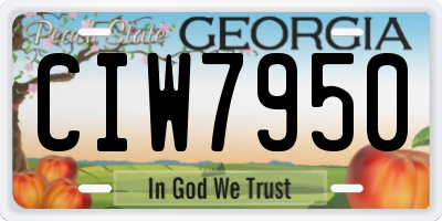 GA license plate CIW7950