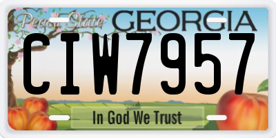 GA license plate CIW7957