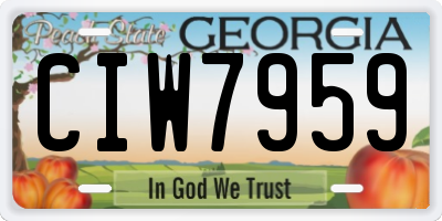 GA license plate CIW7959