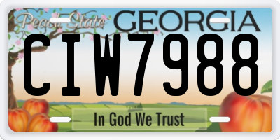 GA license plate CIW7988