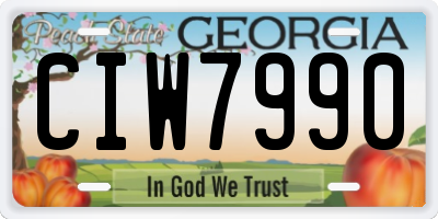 GA license plate CIW7990
