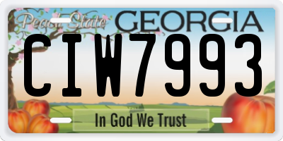 GA license plate CIW7993