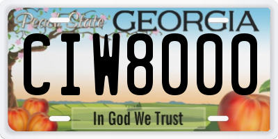 GA license plate CIW8000