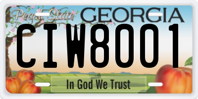 GA license plate CIW8001