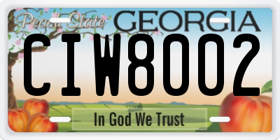 GA license plate CIW8002