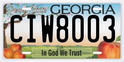 GA license plate CIW8003