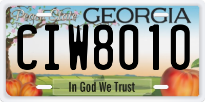 GA license plate CIW8010