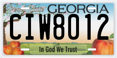 GA license plate CIW8012