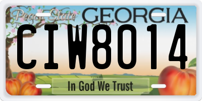 GA license plate CIW8014