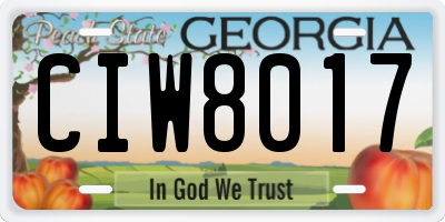 GA license plate CIW8017