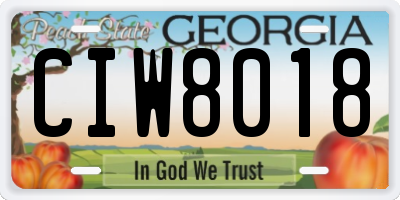 GA license plate CIW8018