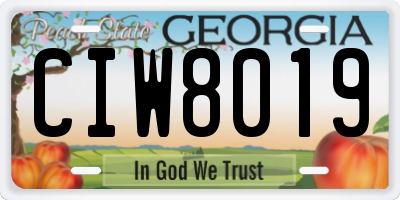 GA license plate CIW8019