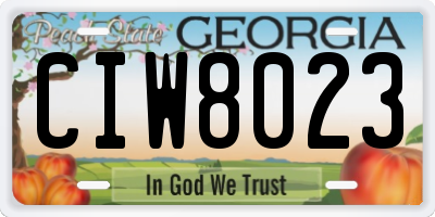GA license plate CIW8023