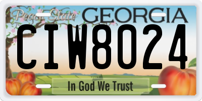 GA license plate CIW8024