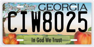 GA license plate CIW8025