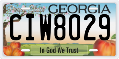 GA license plate CIW8029