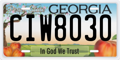 GA license plate CIW8030