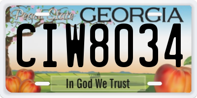 GA license plate CIW8034