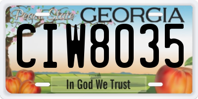 GA license plate CIW8035
