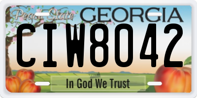GA license plate CIW8042