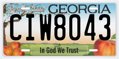 GA license plate CIW8043