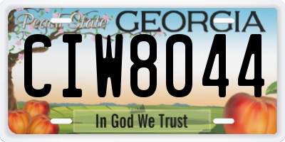 GA license plate CIW8044