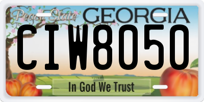 GA license plate CIW8050