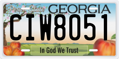 GA license plate CIW8051