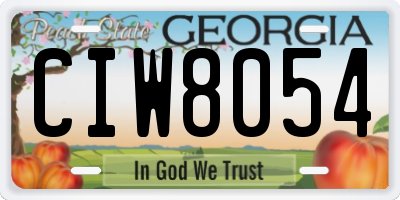 GA license plate CIW8054