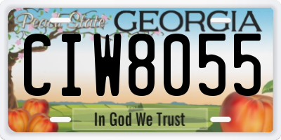 GA license plate CIW8055