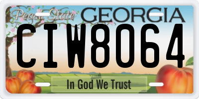 GA license plate CIW8064