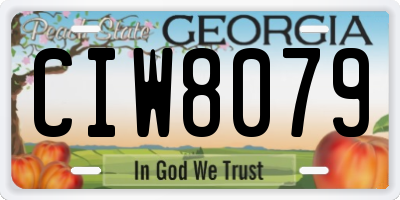 GA license plate CIW8079