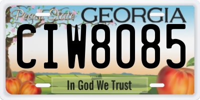 GA license plate CIW8085