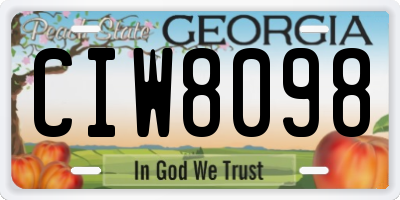 GA license plate CIW8098