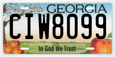 GA license plate CIW8099